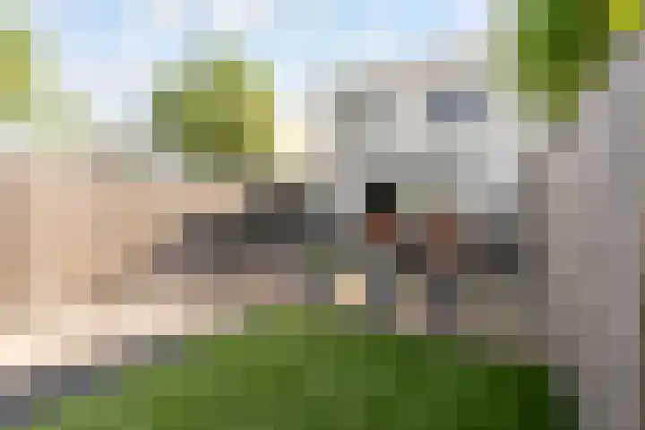 Malachietstraat 36 Almere thumbnail 34