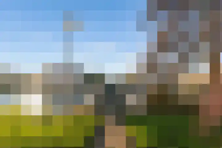 Malberg 22 De Meern thumbnail 51