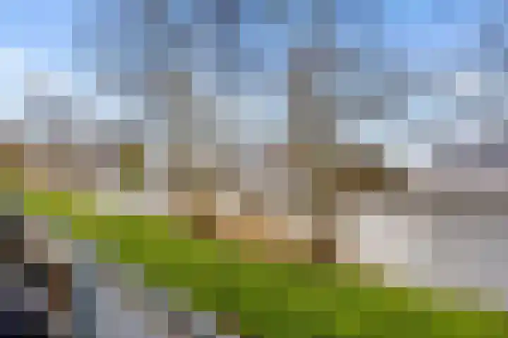 Malberg 25 De Meern thumbnail 27