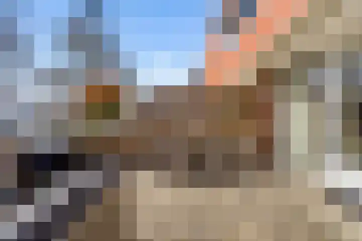 Malberg 25 De Meern thumbnail 29