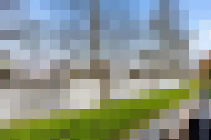 Malberg 25 De Meern thumbnail 48