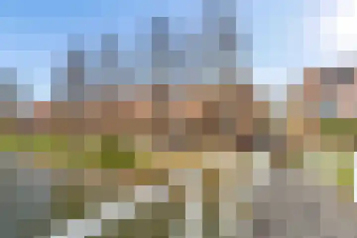 Malberg 25 De Meern thumbnail 51