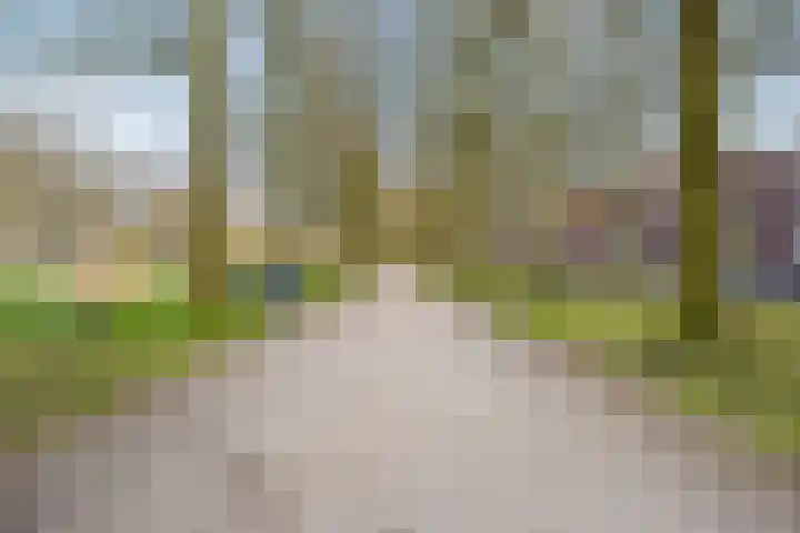 Malberg 25 De Meern thumbnail 52