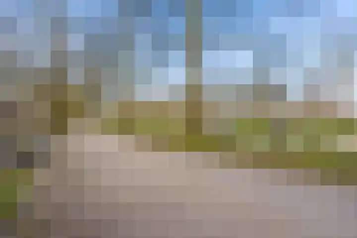 Malberg 25 De Meern thumbnail 53