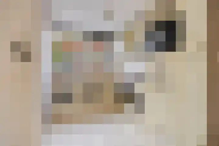 Malberg 27 De Meern thumbnail 11