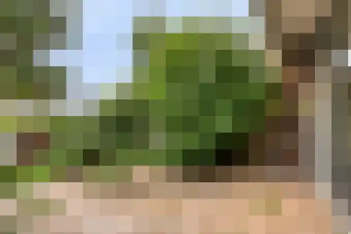 Malberg 27 De Meern thumbnail 38