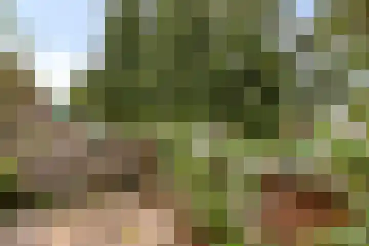 Malberg 27 De Meern thumbnail 39