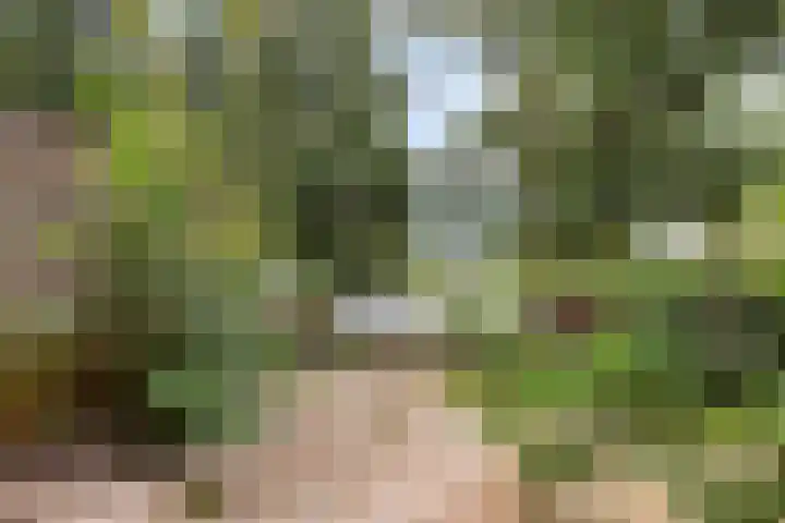 Malberg 27 De Meern thumbnail 4