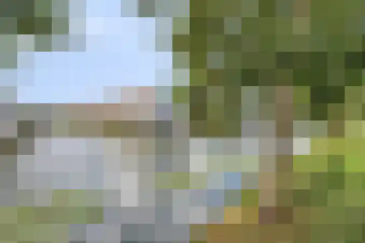 Malberg 27 De Meern thumbnail 42