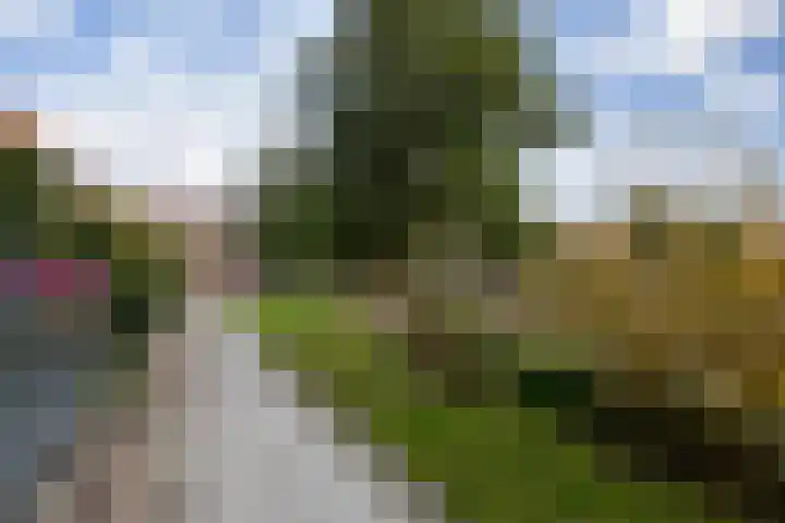 Malberg 7 De Meern thumbnail 12
