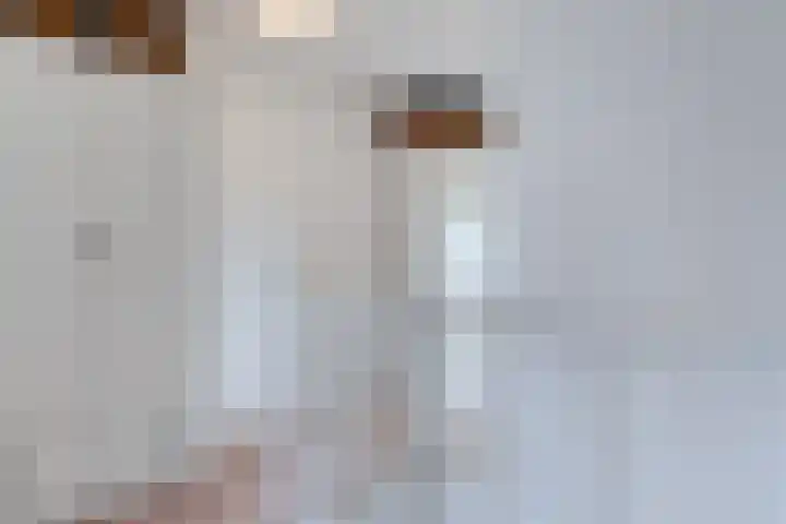 Malberg 7 De Meern thumbnail 22