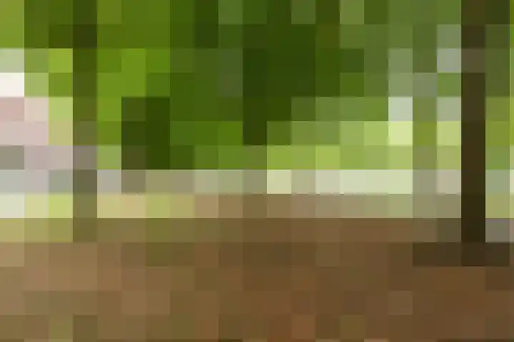 Malberg 7 De Meern thumbnail 36