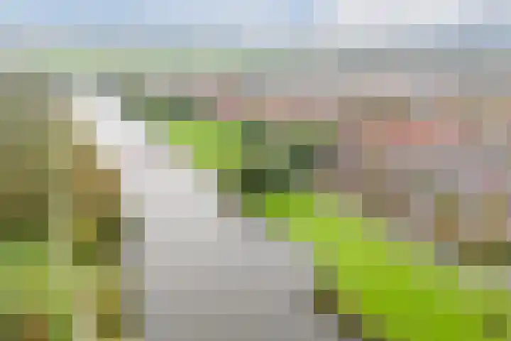 Malberg 7 De Meern thumbnail 38