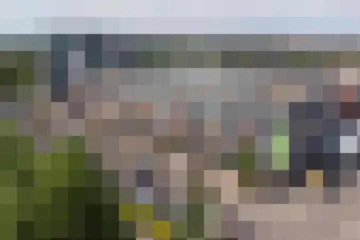 Malberg 7 De Meern thumbnail 40