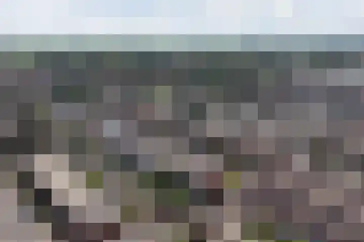 Malberg 7 De Meern thumbnail 41