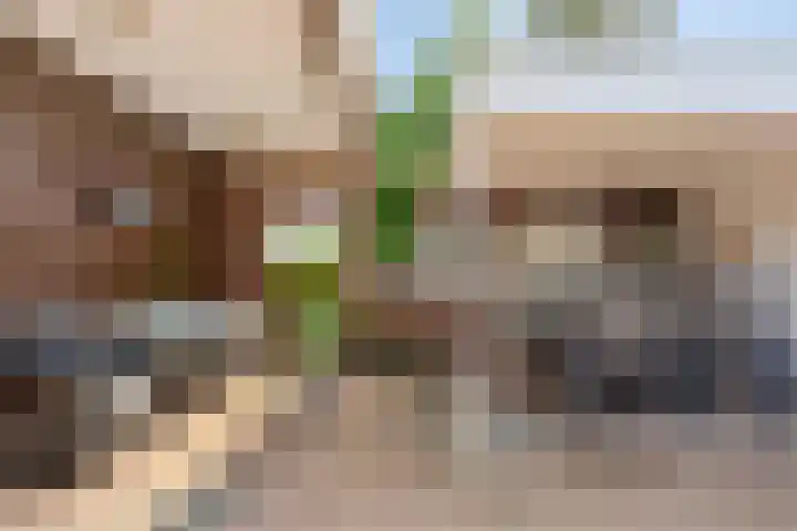 Malderpad 1 Boxtel thumbnail 22