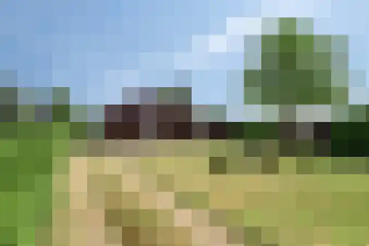 Malderpad 1 Boxtel thumbnail 27