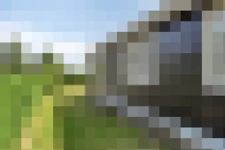 Malderpad 1 Boxtel thumbnail 28