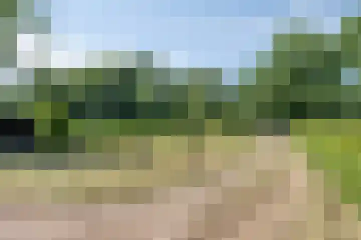 Malderpad 1 Boxtel thumbnail 30