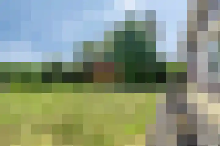 Malderpad 1 Boxtel thumbnail 31