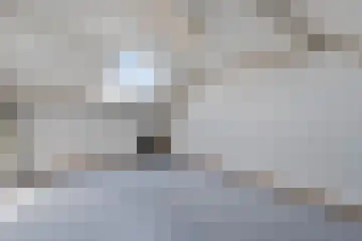 Malherbestraat 10 Venlo thumbnail 20