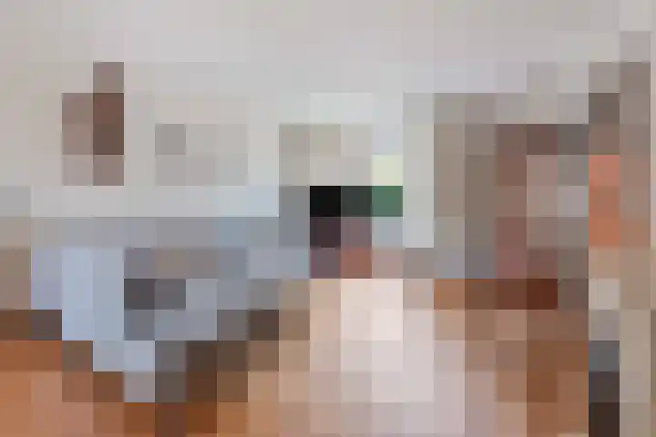 Malherbestraat 10 Venlo thumbnail 8