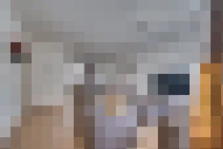 Malherbestraat 6 Venlo thumbnail 9