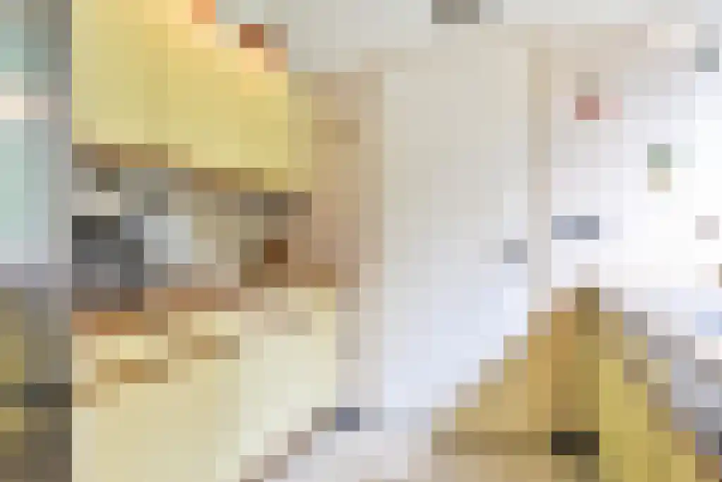 Maliebaan 14 Arcen thumbnail 11