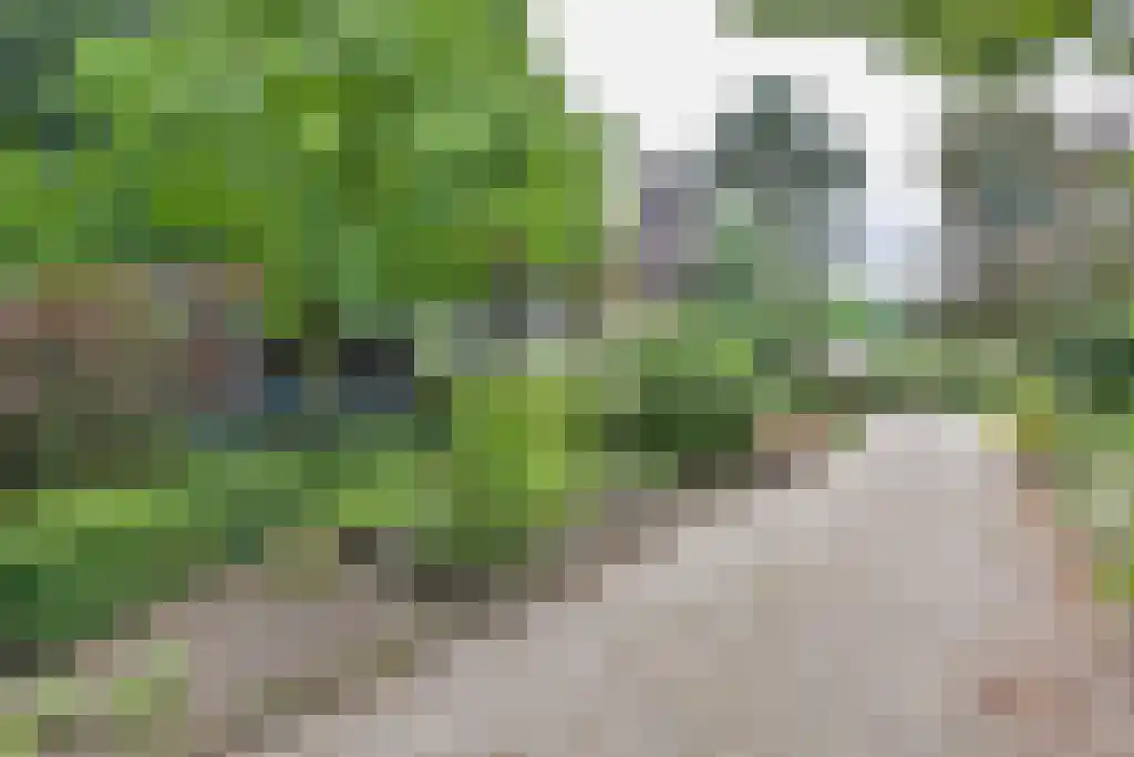 Maliebaan 14 Arcen thumbnail 23