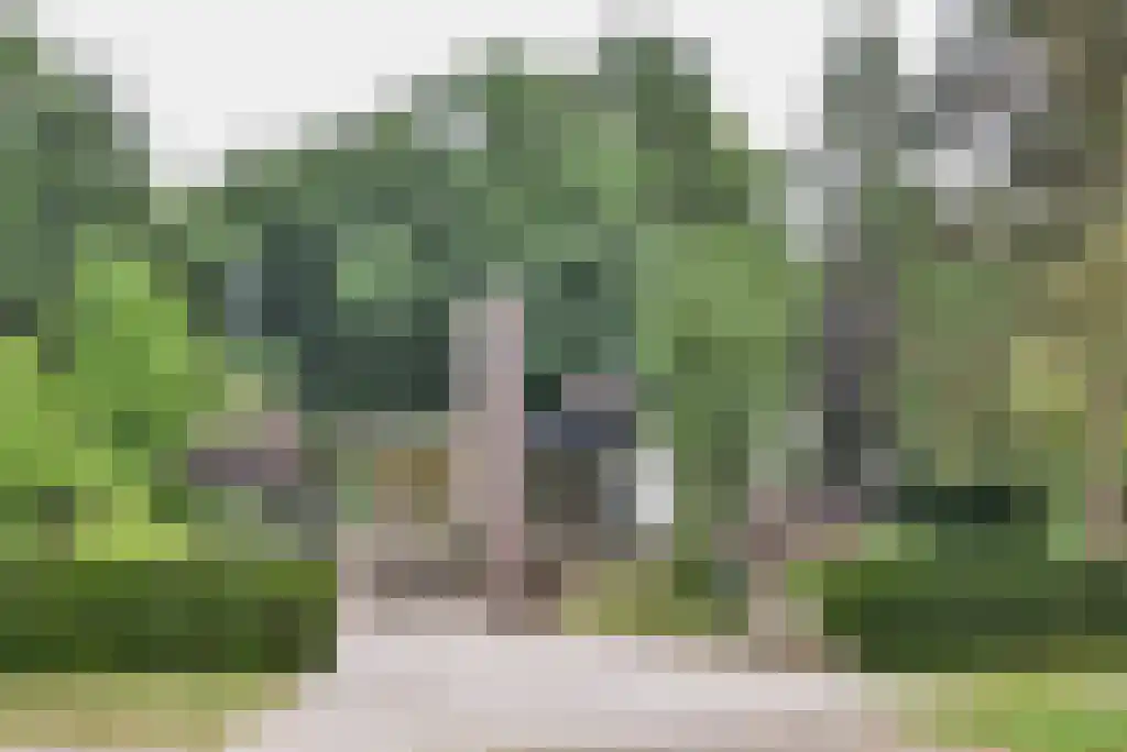 Maliebaan 14 Arcen thumbnail 25