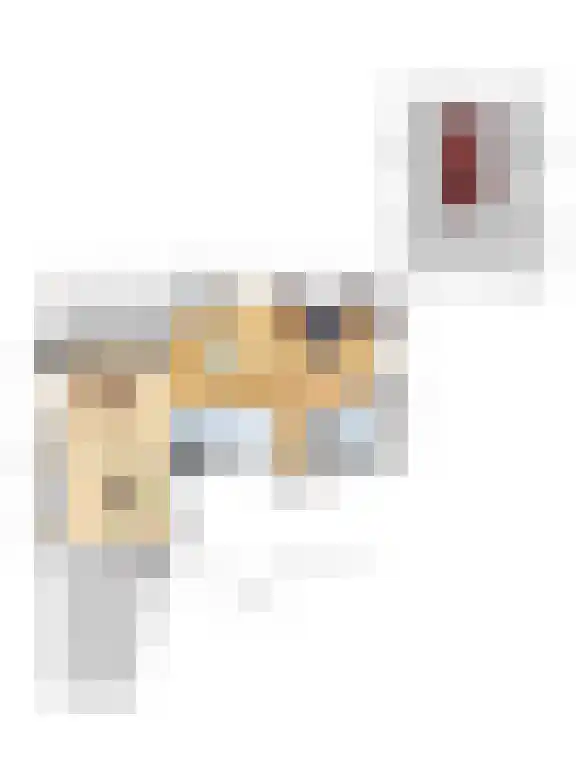Maliebaan 14 Arcen thumbnail 29