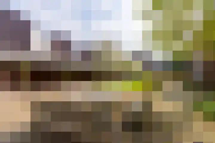Maliesingel 79 Utrecht thumbnail 30