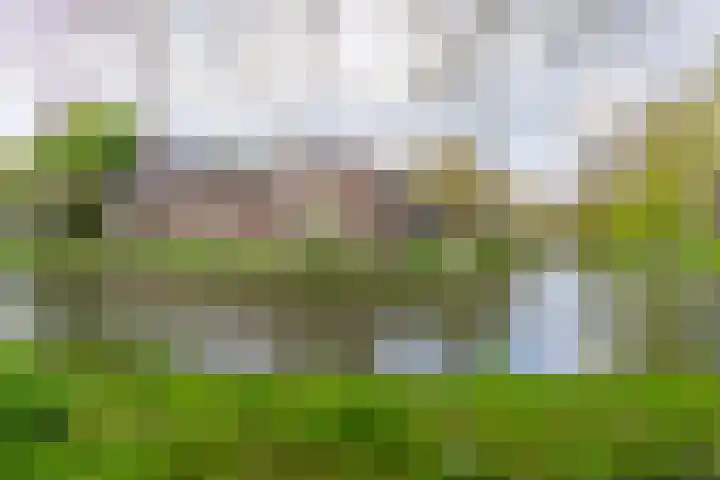 Maliesingel 79 Utrecht thumbnail 37