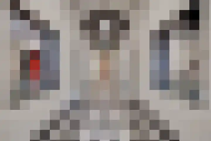 Maliesingel 79 Utrecht thumbnail 4