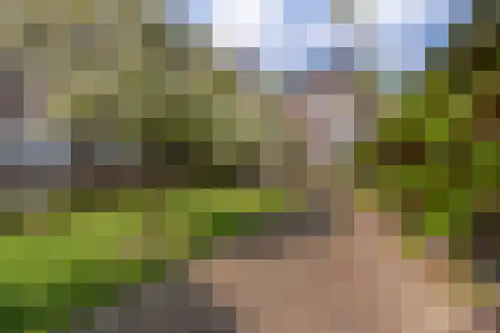 Maliesingel 79 Utrecht thumbnail 47