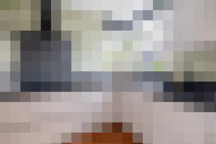 Mallegout 18 b Brielle thumbnail 15