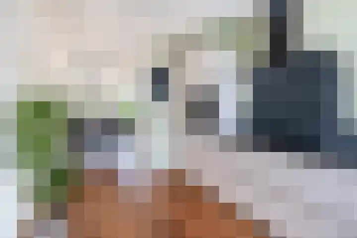 Mallegout 18 b Brielle thumbnail 17