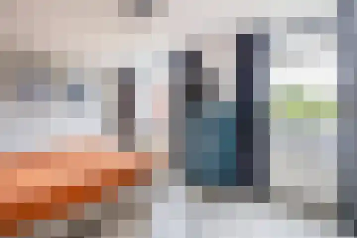 Mallegout 18 b Brielle thumbnail 22