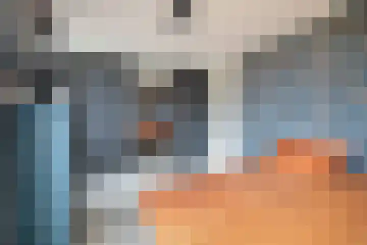 Mallegout 18 b Brielle thumbnail 24