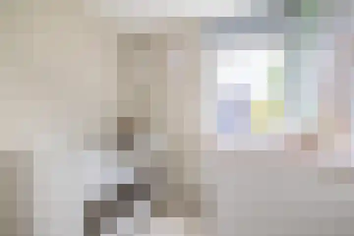 Mallegout 18 b Brielle thumbnail 25