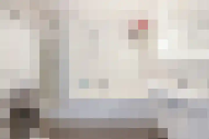 Mallegout 18 b Brielle thumbnail 28