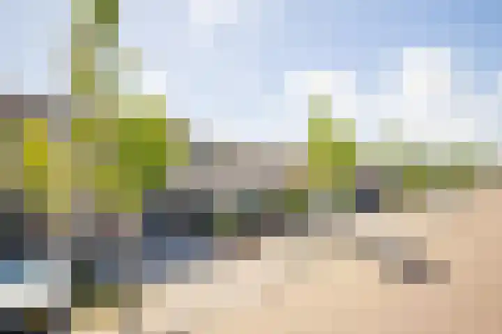 Mallegout 18 b Brielle thumbnail 40