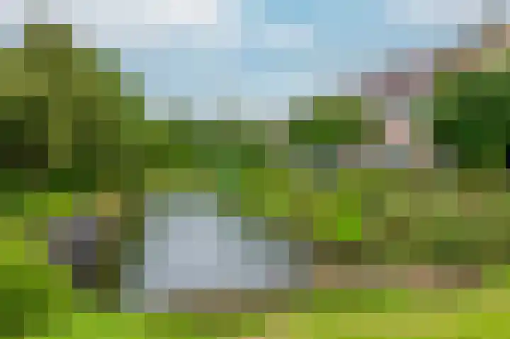 Mallegout 18 b Brielle thumbnail 47