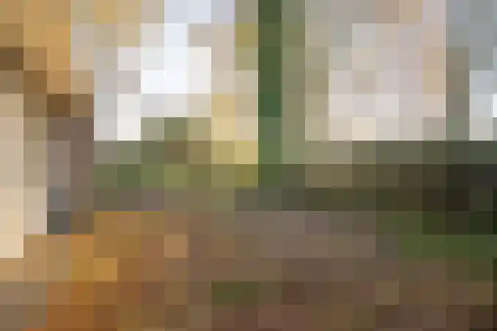 Mallumbrink 87 Enschede thumbnail 19