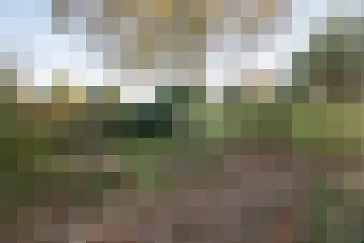 Mallumbrink 87 Enschede thumbnail 21