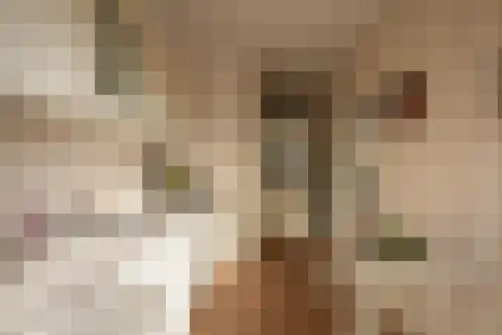 Malvert 1233 Nijmegen thumbnail 10