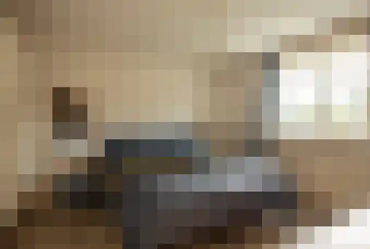 Malvert 1233 Nijmegen thumbnail 13