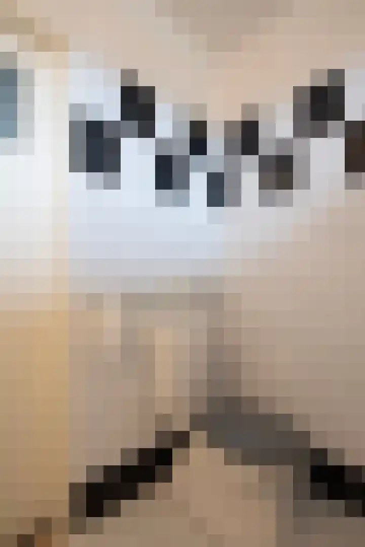 Malvert 1233 Nijmegen thumbnail 17