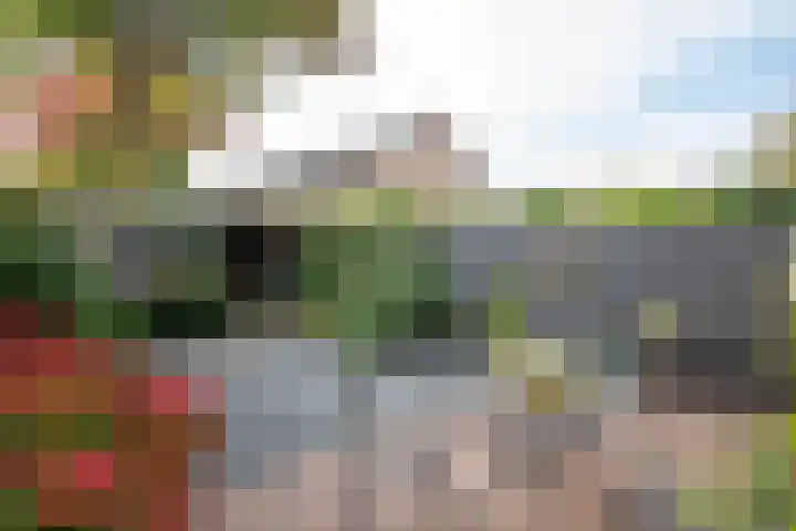 Malvert 1233 Nijmegen thumbnail 25