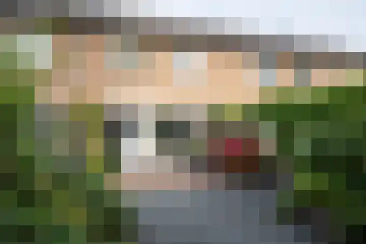 Malvert 1233 Nijmegen thumbnail 26